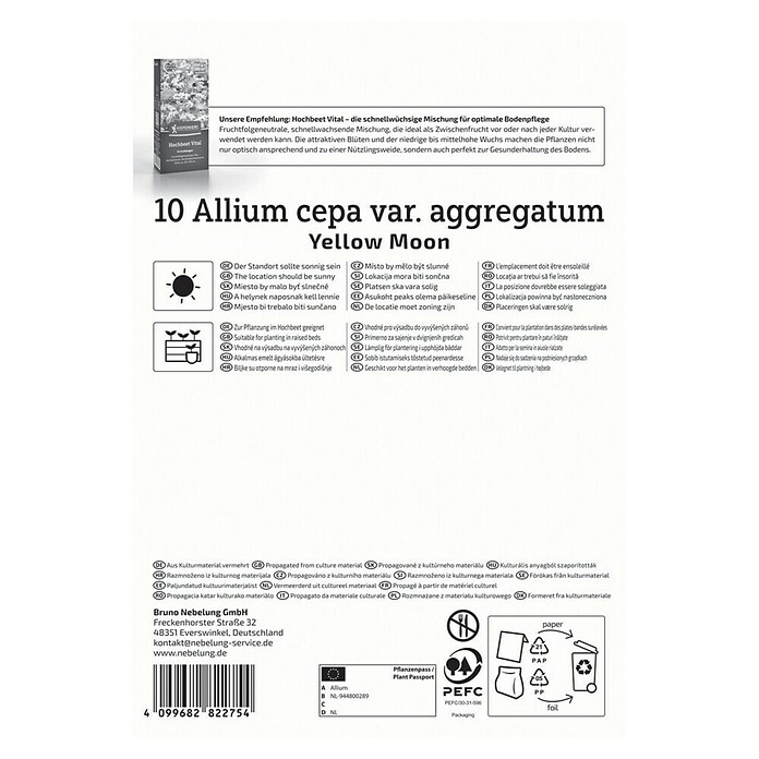 Kiepenkerl Profi-Line Steckzwiebeln Schalotte Yellow Moon (Allium cepa, Erntezeit: Juli) | BAUHAUS