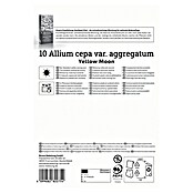 Kiepenkerl Profi-Line Steckzwiebeln Schalotte Yellow Moon (Allium cepa, Erntezeit: Juli) | BAUHAUS