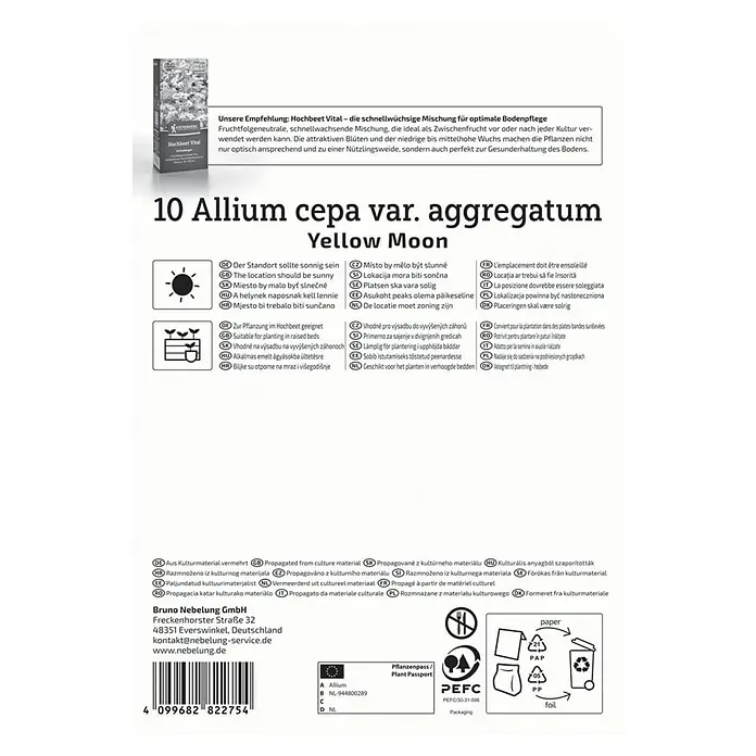 Kiepenkerl Profi-Line Steckzwiebeln Schalotte Yellow Moon - Allium cepa, Erntezeit: Juli - Produktabbildung: 10 Allium cepa var. aggregatum Yellow Moon, eine Zwiebelart, die ideal für sonnige Standorte und Hochbeete ist.