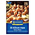 Kiepenkerl Profi-Line Steckzwiebeln Schalotte Yellow Moon 