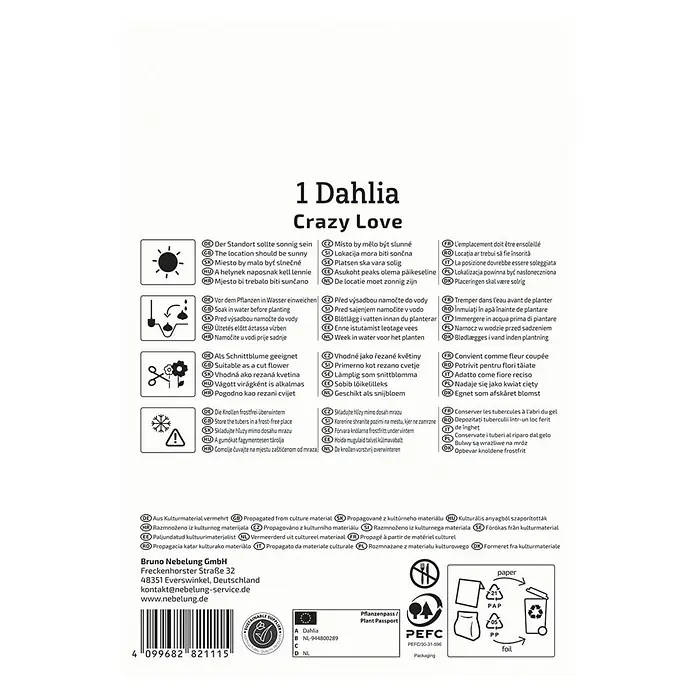 Kiepenkerl Dahlie Crazy Love - Dahlia x Hybrida, Mehrfarbig - Produktverpackung mit Informationen zur Dahlie 'Crazy Love', inklusive Pflanz- und Pflegehinweisen.
