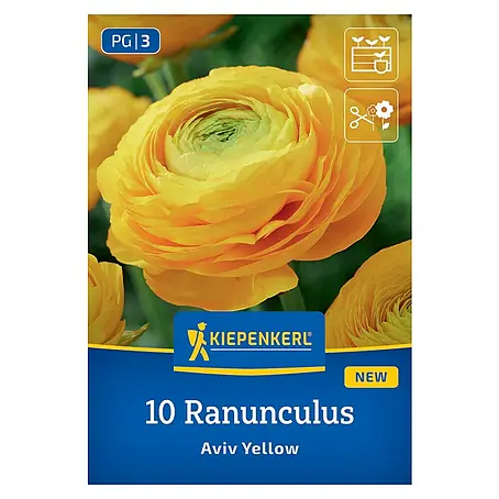 Kiepenkerl  Blumensamenmischung Ranunkeln Gelb