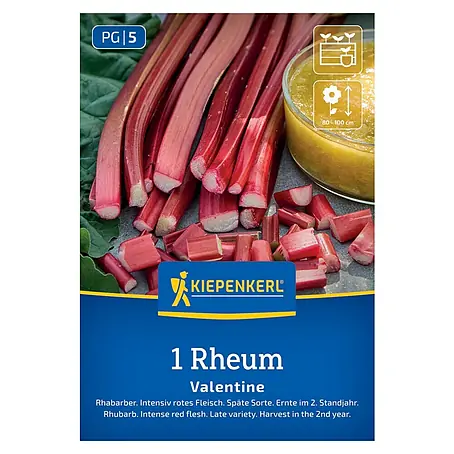 Kiepenkerl  Gemüsesamen Rhabarber Valentine