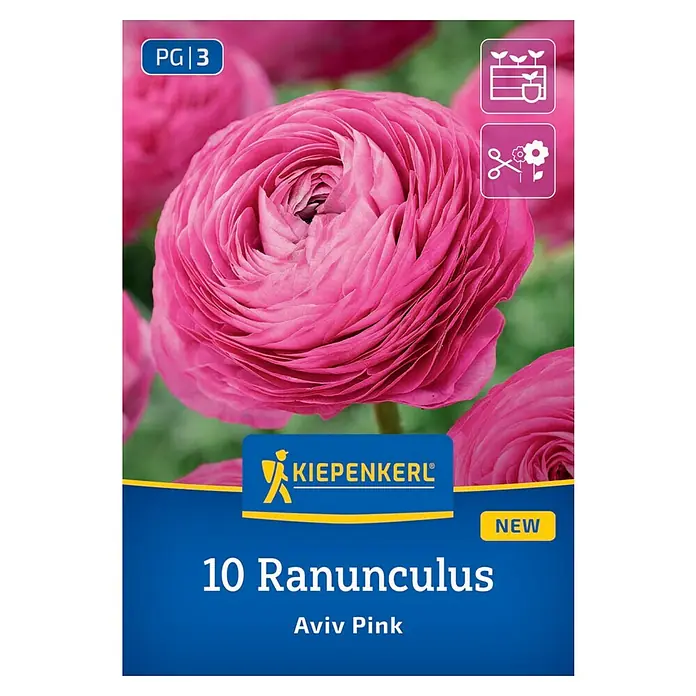 Kiepenkerl Blumensamenmischung Ranunculus Aviv Pink - Ranunculus - Das Bild zeigt eine Packung mit 10 Ranunkel-Blumenzwiebeln der Sorte Aviv Pink von Kiepenkerl, ideal für farbenfrohe Gärten.