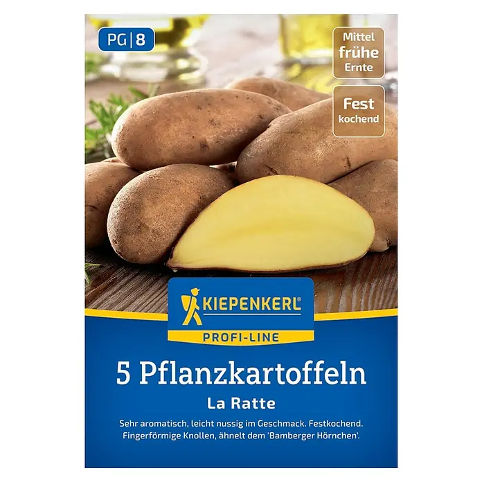 Kiepenkerl Profi-Line Pflanzkartoffeln La Ratte - Solanum tuberosum, 5 Stk., Erntezeit: September - Nahaufnahme von La Ratte Pflanzkartoffeln der Marke Kiepenkerl, ideal für den Anbau aromatischer, festkochender Kartoffeln.