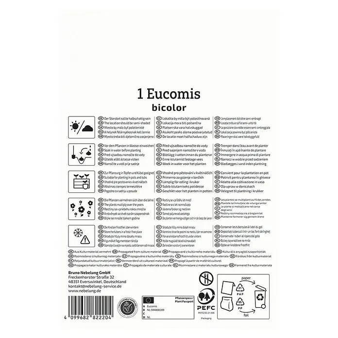 Kiepenkerl Blumensamenmischung Eucomis bicolor - Eucomis bicolor - Bild einer Eucomis bicolor Produktverpackung, die Details zu Standort, Pflege und Vermehrung der Pflanze enthält.