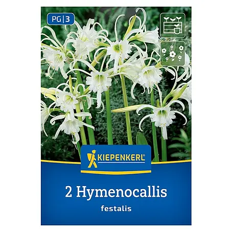 Kiepenkerl  Blumensamenmischung Schönhäutchen Ismene
