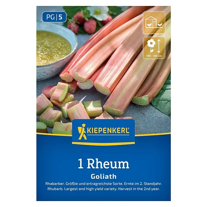 Kiepenkerl Gemüsesamen Rhabarber Goliath - Rheum rhabarbarum, Erntezeit: Mai - Bild einer 'Kiepenkerl 1 Rheum Goliath' Pflanze, ideal für jeden Garten.