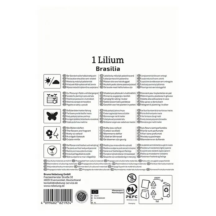 Kiepenkerl Blumensamenmischung Lilie Brasilia - Lilium x Hybrida - Produktinformationen für 1 Lilium Brasilia. Hinweise zu Standort, Pflanzung, Pflege und Frosthärte der Lilien.