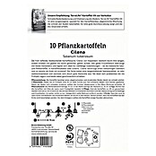 Kiepenkerl Pflanzkartoffeln Cilena (Solanum tuberosum, 10 Stk., Erntezeit: August) | BAUHAUS