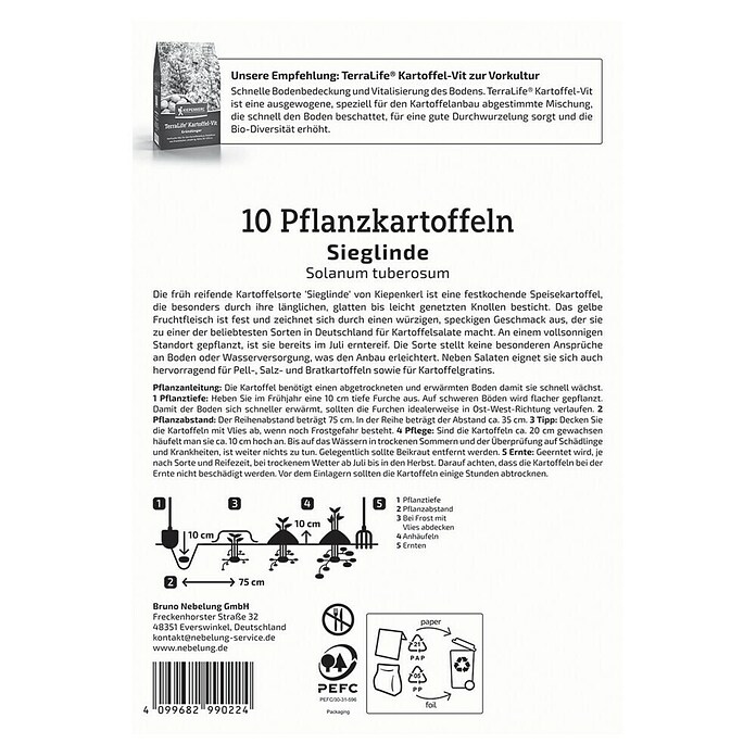 Kiepenkerl Pflanzkartoffeln Sieglinde (Solanum tuberosum, 10 Stk., Erntezeit: Juli) | BAUHAUS