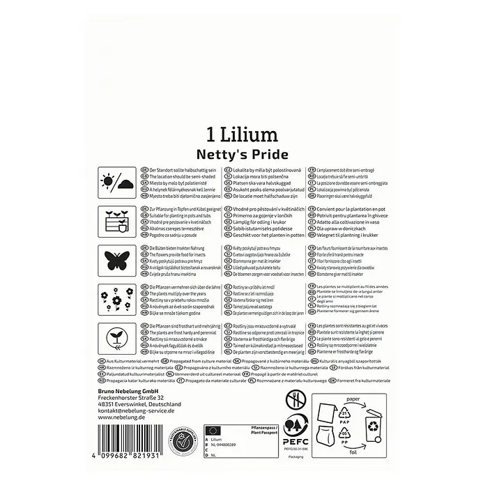 Kiepenkerl Blumensamenmischung Lilie Netty´s Pride - Lilium x Hybrida, Mehrfarbig - Produktbild einer Lilium 'Netty's Pride' Verpackung mit Informationen zu Standort, Pflege und Frosthärte der Lilie.