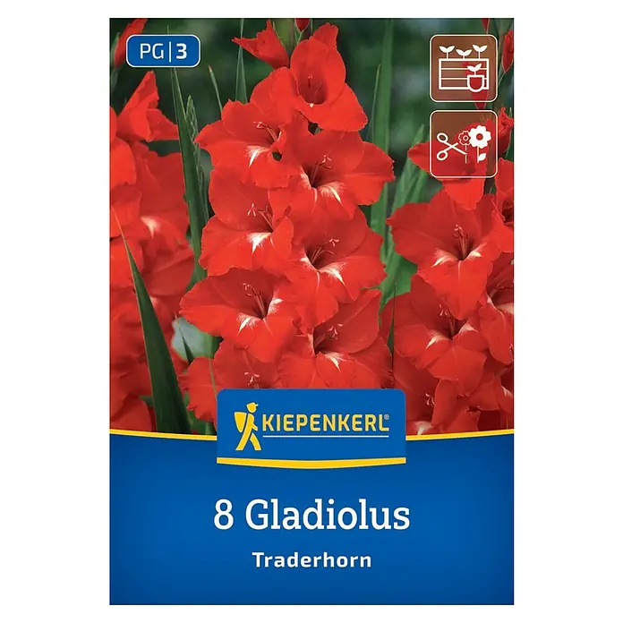 Kiepenkerl Blumensamenmischung Gladiolus Traderhorn - Gladiolus x Hybrida - Abbildung einer Gladiolenzwiebelpackung der Marke Kiepenkerl mit dem Namen Traderhorn.