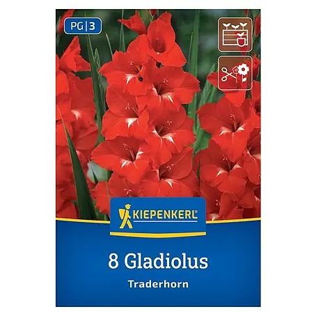 Kiepenkerl  Blumensamenmischung Gladiolus Traderhorn