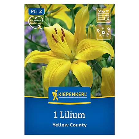 Kiepenkerl  Blumensamenmischung Lilie Yellow Country