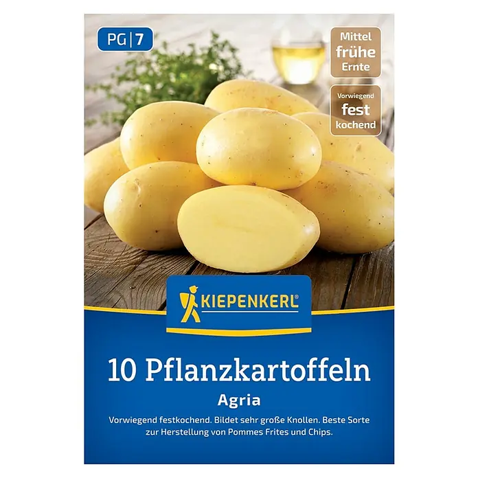 Kiepenkerl Pflanzkartoffeln Agria - Solanum tuberosum, 10 Stk., Erntezeit: August - Abbildung zeigt Pflanzkartoffeln "Agria" der Marke Kiepenkerl. Diese Sorte ist vorwiegend festkochend und ideal für Pommes und Chips.