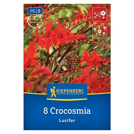 Kiepenkerl  Blumensamenmischung Crocosmia Lucifer