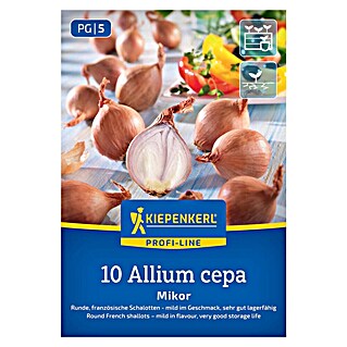 Kiepenkerl Steckzwiebeln Französische Schalotte Mikor Gr. 20/45 (Allium cepa, Erntezeit: Juli)
