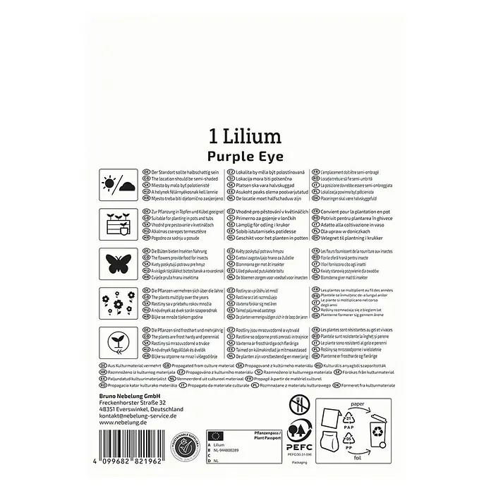 Kiepenkerl Blumensamenmischung Lilie Purple Eye - Lilium - Informationen zu 1 Lilium 'Purple Eye', einer Schattenpflanze, ideal für Töpfe, die Insekten ernährt, mehrjährig und aus Kultursubstrat vermehrt.