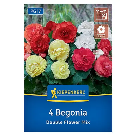 Kiepenkerl  Blumensamenmischung Begonie Double Flower Mix