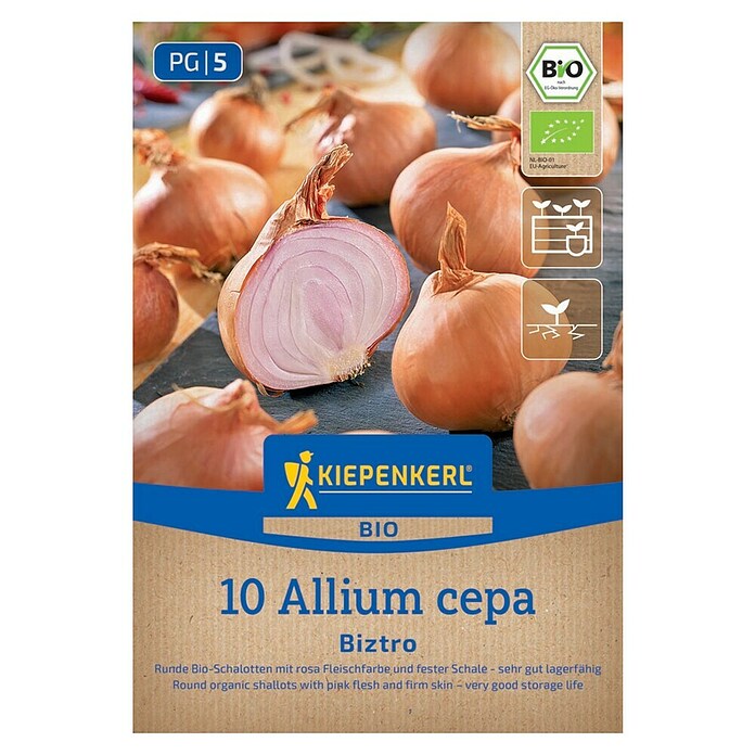 Kiepenkerl Bio Steckzwiebeln Schalotte Biztro Gr. 7/14 (Allium cepa, Erntezeit: Juli) | BAUHAUS