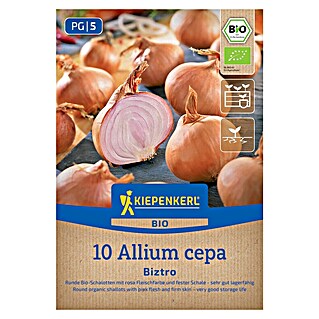 Kiepenkerl Bio Steckzwiebeln Schalotte Biztro Gr. 7/14 (Allium cepa, Erntezeit: Juli)