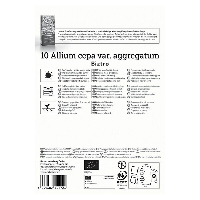 Kiepenkerl Bio Steckzwiebeln Schalotte Biztro Gr. 7/14 (Allium cepa, Erntezeit: Juli) | BAUHAUS
