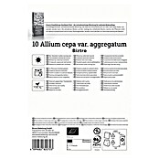 Kiepenkerl Bio Steckzwiebeln Schalotte Biztro Gr. 7/14 (Allium cepa, Erntezeit: Juli) | BAUHAUS