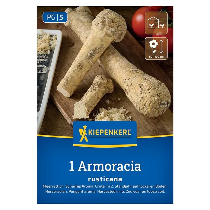 Kiepenkerl Saatgut Meerrettich Armoracia rusticana - Armoracia rusticana - Produktbild von Armoracia rusticana (Meerrettich) Samen von Kiepenkerl, scharf und aromatisch, geerntet im zweiten Standjahr.
