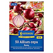 Kiepenkerl Profi-Line Steckzwiebeln Romy (Allium cepa, Erntezeit: Juli) | BAUHAUS