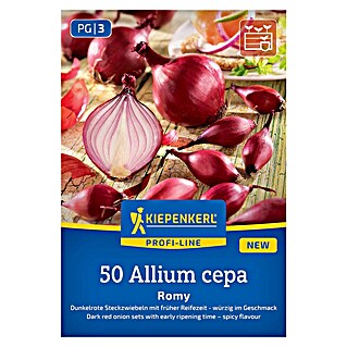 Kiepenkerl Profi-Line Steckzwiebeln Romy (Allium cepa, Erntezeit: Juli)