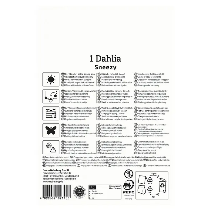 Kiepenkerl Dahlie Sneezy - Dahlia x Hybrida, Mehrfarbig - Produktetikett für 1 'Dahlia Sneezy', mit Pflanzanweisungen und Recycling-Symbolen.