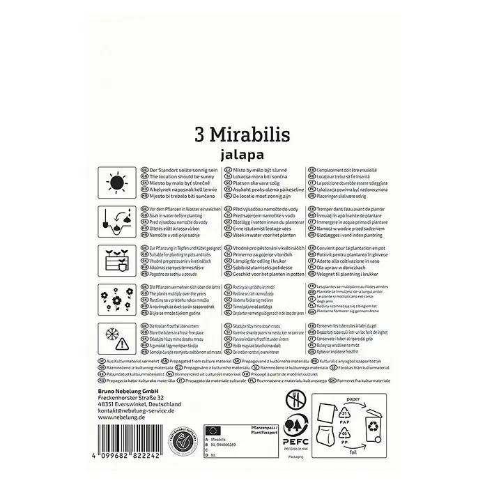 Kiepenkerl Blumensamenmischung Wunderblume Jalapa - Mirabilis jalapa, Mehrfarbig - Hinweise zur Anpflanzung von 3 Mirabilis Jalapa, mit Informationen zu Standort, Bewässerung, Vermehrung und Überwinterung.