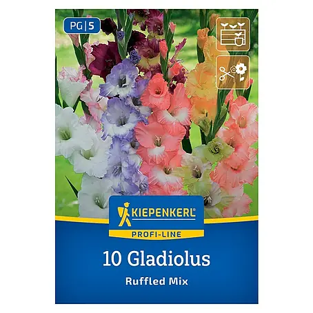 Kiepenkerl  Blumensamenmischung Gladiolus Ruffled Mix