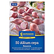 Kiepenkerl Profi-Line Steckzwiebeln Rosanna Gr. 12/21 (Allium cepa, Erntezeit: Juli) | BAUHAUS