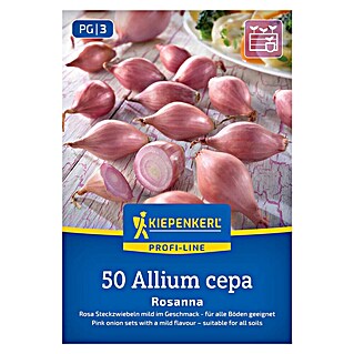 Kiepenkerl Profi-Line Steckzwiebeln Rosanna Gr. 12/21 (Allium cepa, Erntezeit: Juli)