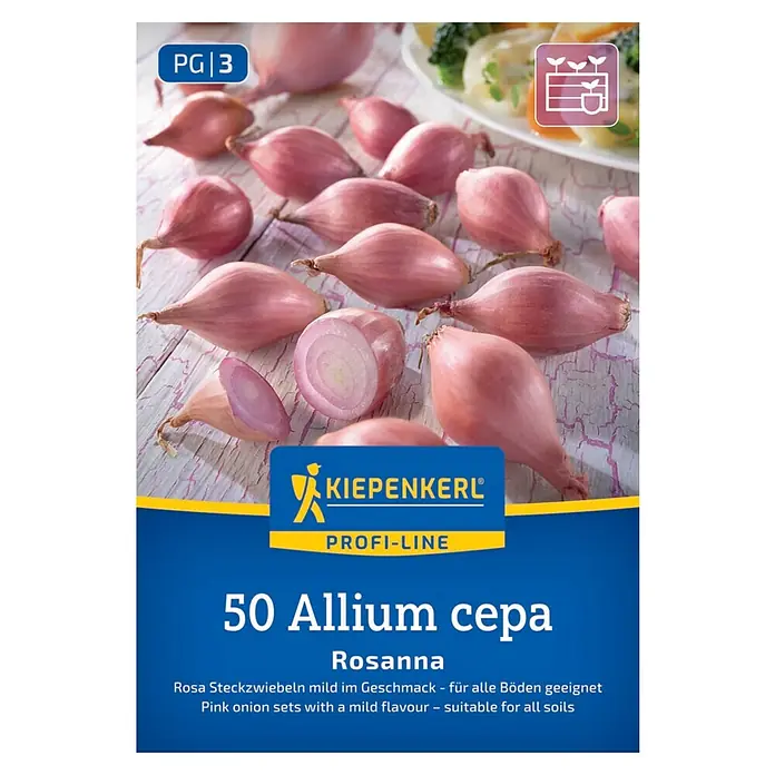 Kiepenkerl Profi-Line Steckzwiebeln Rosanna Gr. 12/21 - Allium cepa, Erntezeit: Juli - Abbildung der "KIEPENKERL Profi-Line" Rosanna Allium cepa Zwiebeln, eine rosa Sorte, die für ihren milden Geschmack und ihre Anpassungsfähigkeit bekannt ist.
