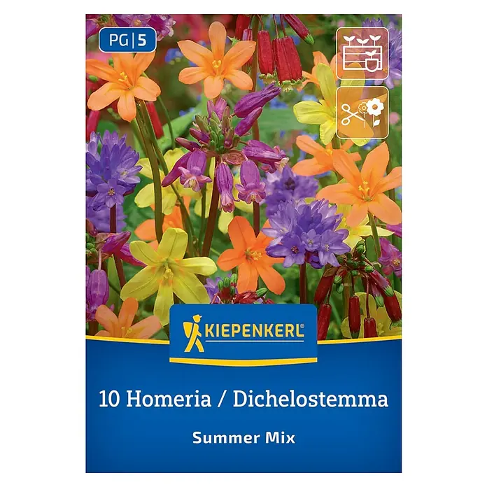 Kiepenkerl Blumensamenmischung Dichelostemma Homeria Summer Mix - Mischung, Mehrfarbig - Blumensamenpackung mit einer farbenfrohen Mischung aus 10 Homeria/Dichelostemma Sommerblumen für den Garten.