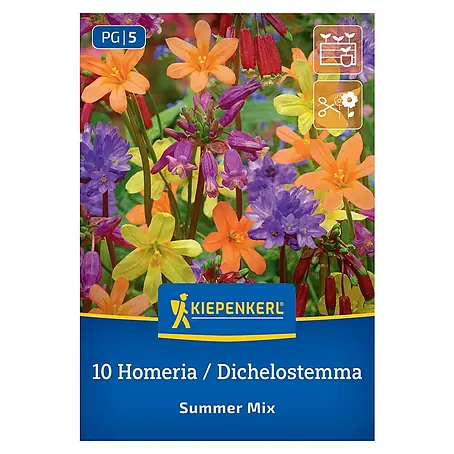 Kiepenkerl  Blumensamenmischung Dichelostemma Homeria Summer Mix