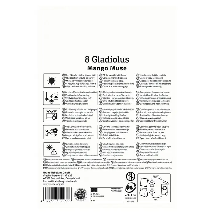 Kiepenkerl Blumensamenmischung Gladiolus Mango Muse - Gladiolus x Hybrida, Mehrfarbig - Produktverpackung für 8 Gladiolen Mango Muse, mit Pflanzanleitung und Informationen zu den Kulturbedingungen.