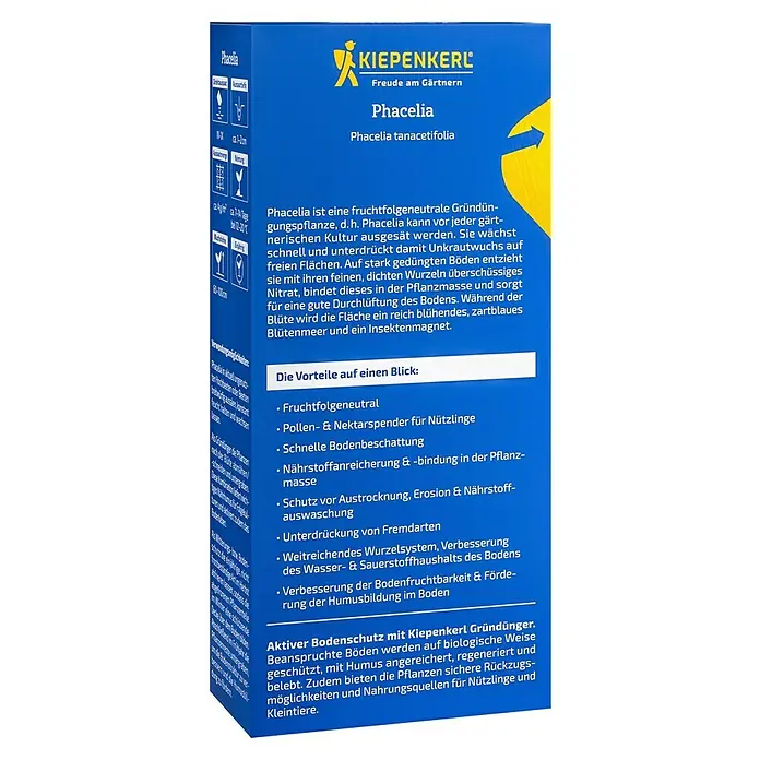 Kiepenkerl Gründüngung Phacelia - Phacelia tanacetifolia, 40 m² - Kiepenkerl Phacelia Bienenweide: Fruchtfolge neutrale Gründüngungspflanze, die Unkraut unterdrückt und den Boden verbessert.
