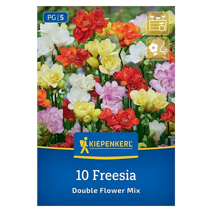 Kiepenkerl Blumensamenmischung Freesien Flower Double Mix - Begonia x Tuberhybrida - Bild einer Packung mit 10 Freesien Double Flower Mix Blumenzwiebeln von Kiepenkerl, mit bunten Freesienblüten auf der Vorderseite.