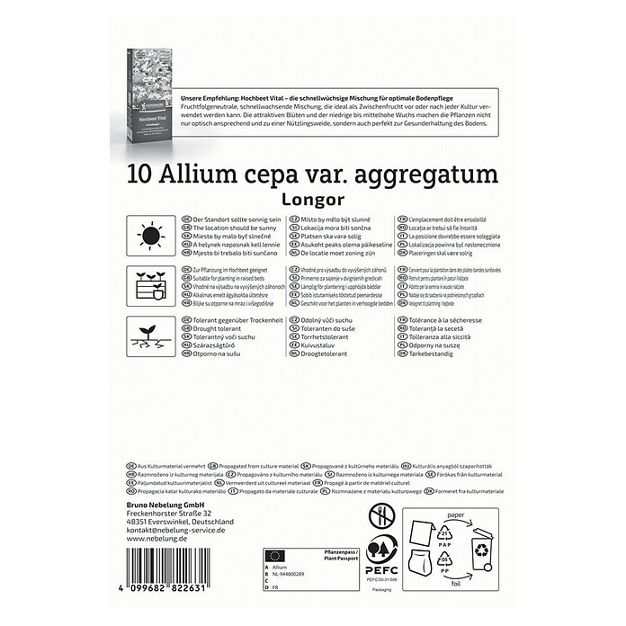 Kiepenkerl Steckzwiebeln Französische Schalotte Longor Gr. 20/45 (Allium cepa, Erntezeit: Juli) | BAUHAUS