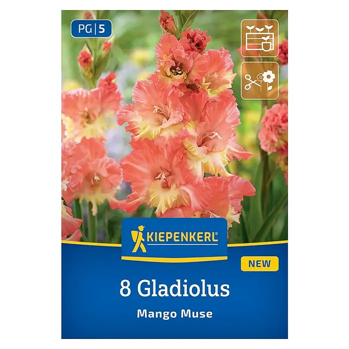 Kiepenkerl Blumensamenmischung Gladiolus Mango Muse - Gladiolus x Hybrida, Mehrfarbig - Bild einer Packung 8 Gladiolen 'Mango Muse', einer Sorte mit leuchtend orangefarbenen und gelben Blüten.
