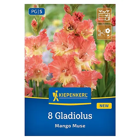Kiepenkerl  Blumensamenmischung Gladiolus Mango Muse