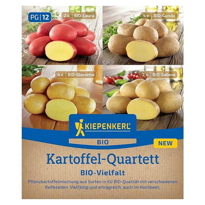 Kiepenkerl Bio Pflanzkartoffeln Quartett Bio Vielfalt - Solanum tuberosum, 12 Stk., Erntezeit: Juni - Abbildung einer Kartoffel-Quartett-Mischung von Kiepenkerl, die BIO-Laura, BIO-Gunda, BIO-Glorietta und BIO-Belana umfasst.