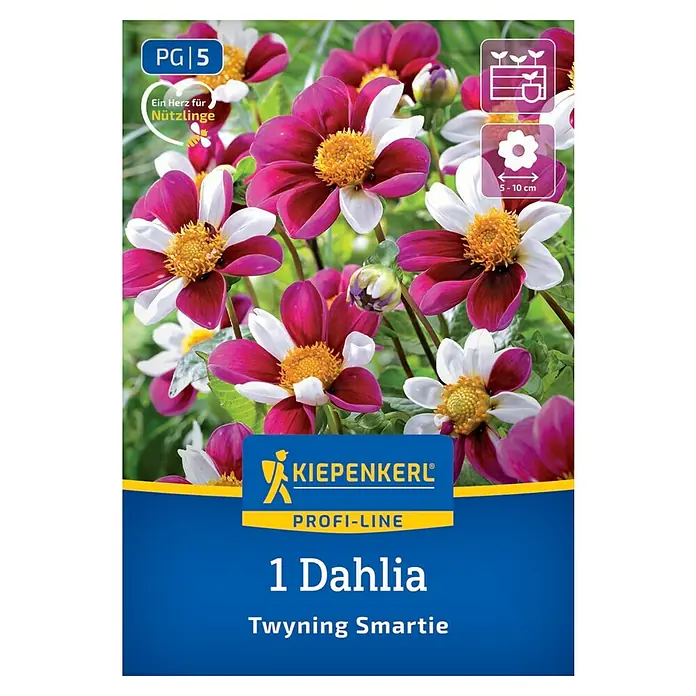 Kiepenkerl Dahlie Twyning Smartie - Dahlia x Hybrida, Mehrfarbig - Bild einer Dahlien-Samenpackung der Marke Kiepenkerl, Sorte "Twyning Smartie", mit zweifarbigen Blüten in Weiß und Pink.