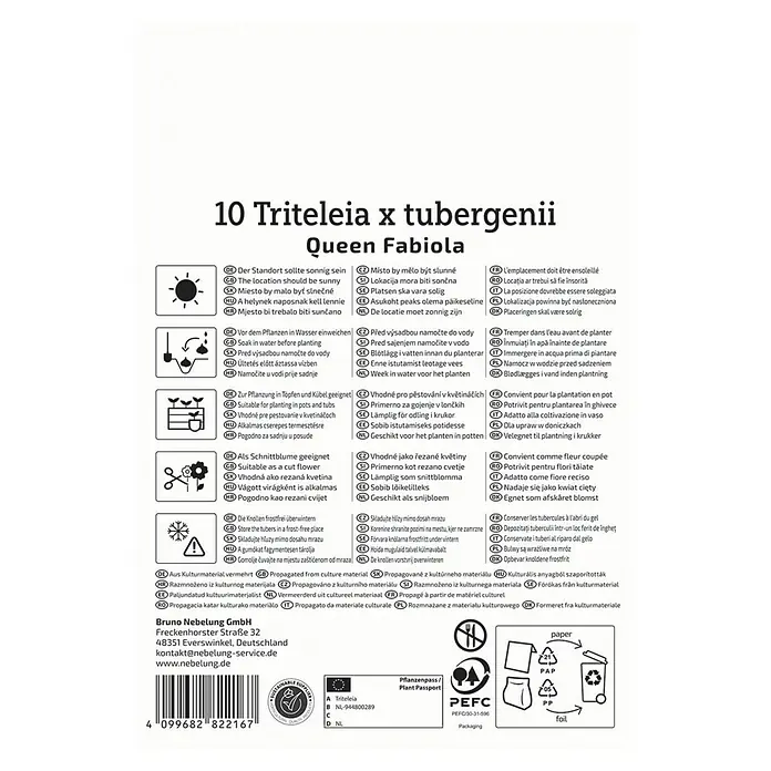 Kiepenkerl Blumensamenmischung Triteleia Queen Fabiola - Triteleia tubergenii - Produktverpackung für 10 Triteleia x tubergenii 'Queen Fabiola', Zwiebelblumen für den Garten.