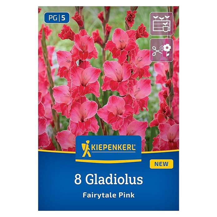 Kiepenkerl Mešana cvetlična semena gladijol sorte Fairytale Pink  (Gladiolus x Hybrida, Roza) | 8113 - Frühjahrsblumenzwiebeln | IBXA - Blumenzwiebeln | IBX - Blumenzwiebeln | IB - Grünpflanzen/Sämereien | I - Stadtgarten | BAUHAUS