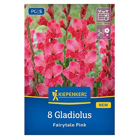 Kiepenkerl  Blumensamenmischung Gladiolus Fairytale Pink
